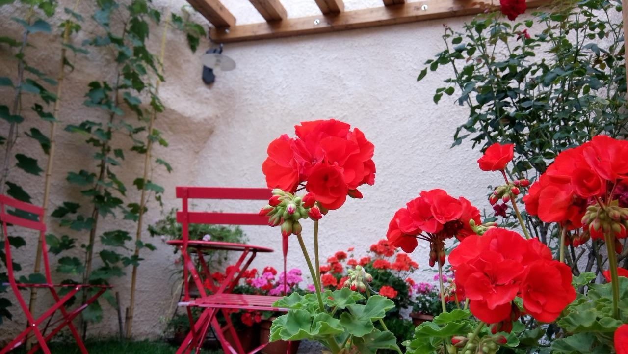 B&B A Casa Di Nonna Massa d'Albe 외부 사진